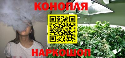 стаф Лесосибирск