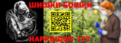 стаф Лесосибирск
